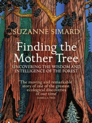 Finding the Mother Tree