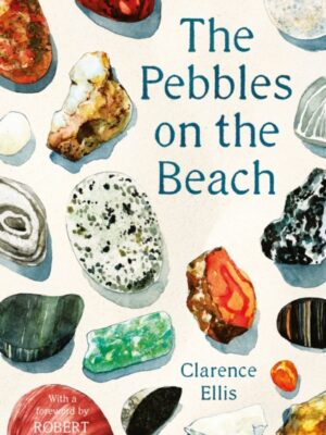 The Pebbles on the Beach