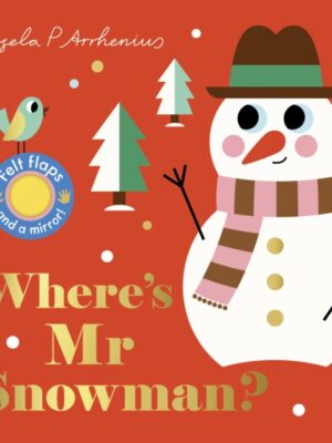 Where's Mr Snowman?