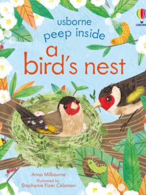 Peep Inside a Bird's Nest