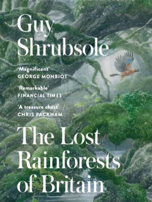 The Lost Rainforests of Britain