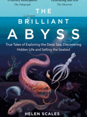 The Brilliant Abyss