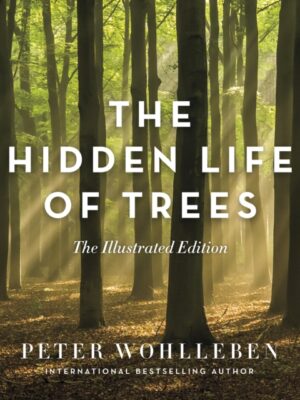 The Hidden Life of Trees