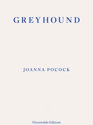Greyhound