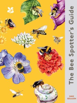 The Bee Spotter's Guide